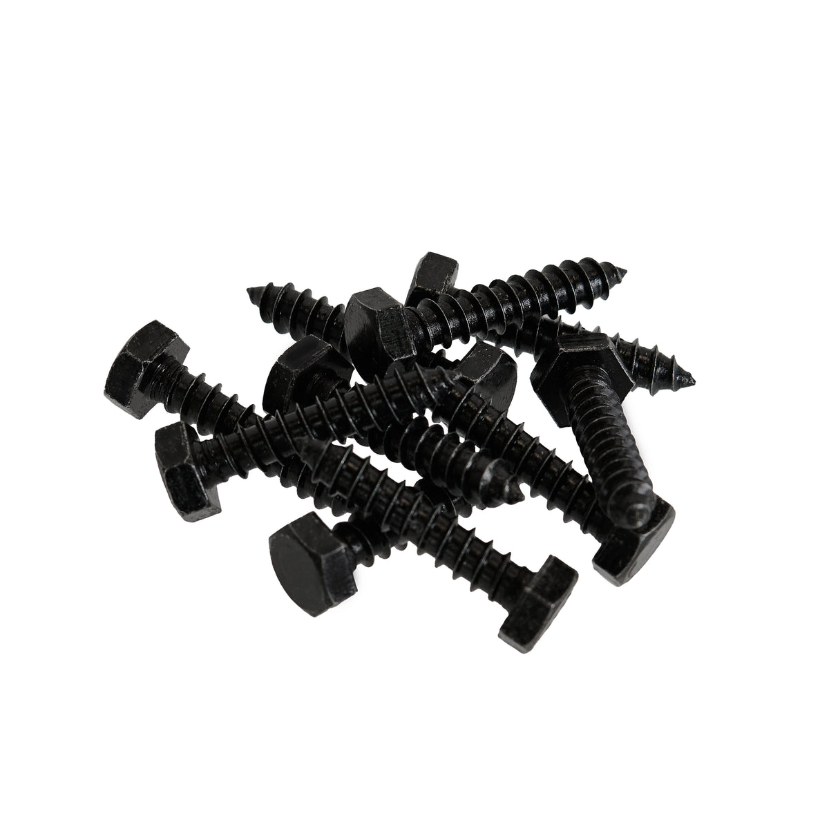 Lag Bolts for Exterior Barn Doors Black Out Package