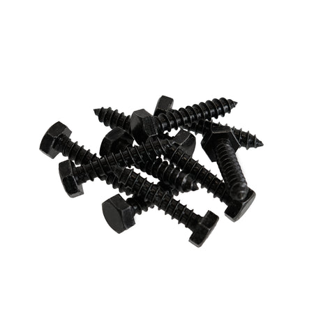 Lag Bolts for Exterior Barn Doors Black Out Package